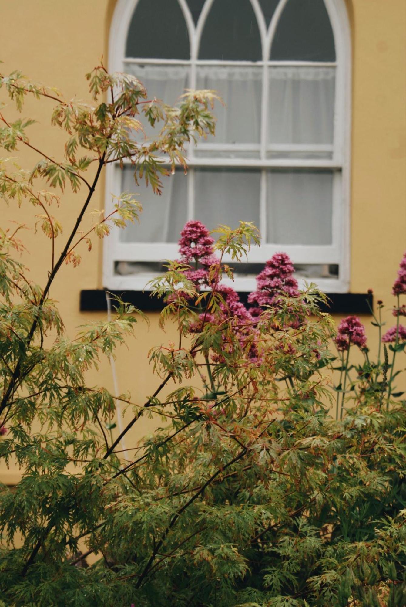 Ranscombe House Bed & Breakfast Brixham Ngoại thất bức ảnh